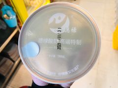 -德禄酸奶(莫家街店)