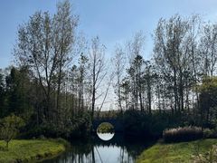 -溱湖国家湿地公园