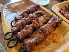 -宝山一号馕坑肉