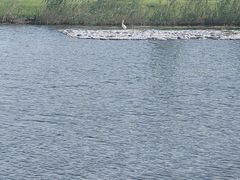 -鹦鹉洲湿地公园