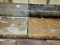 android_upload_pic-比亚森自助烤肉料理(裕华店)