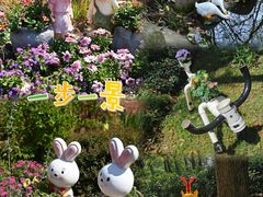 -上海共青森林公园