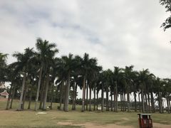 -华侨公园