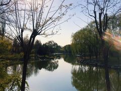 -大兴滨河森林公园