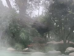 -青城道汤池