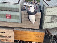 -老成都·古法采耳·禅洗头疗(四川总店)