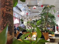 大堂-必胜客(百联又一城店)