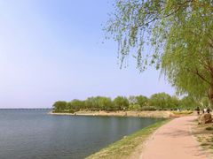 -丁香湖公园