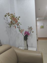 -北京叶子整形美容医院