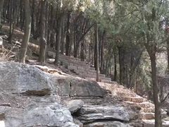 -抱犊崮国家森林公园