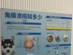 -守诺宠物医院·眼科· 特色牙科·异宠专科(虹口店)