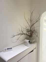 -安那般那皮肤年轻化ANAPANA