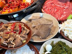 -阳阳老火锅(小南门店)