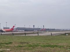 -空港花田景区