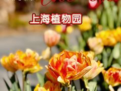 -上海植物园-4号门售票处