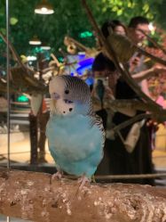 -酷嗒动物文化乐园(cutezoo西溪乐天城店)