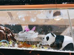 -红辣椒·川菜·火锅(科华路店)