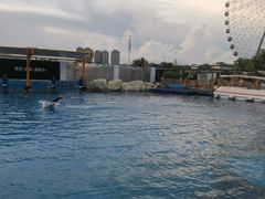 -三亚海昌梦幻海洋不夜城