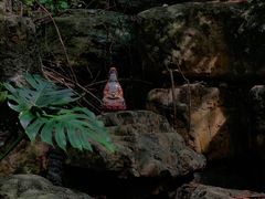 -顺峰山公园