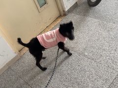-纳吉亚猫专科动物医院博雅分院
