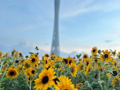 -海心沙亚运公园