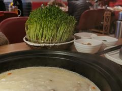 -好彩猪肚鸡(正弘城店)