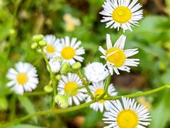 -渭河城市绿地运动公园