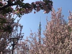 -海棠花溪(元大都城垣遗址公园)