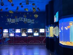 -厦门海底世界