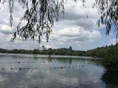 -西湖外事游船(花港观鱼码头)