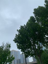 -HEYAN长风荷妍专业脱毛美肤
