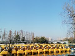 -洋湖国家湿地公园
