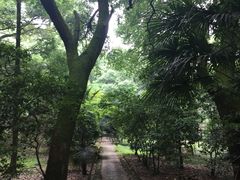 -武汉大学-樱园