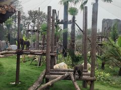 -武汉动物园
