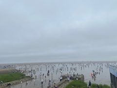 -奉贤海滩