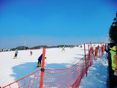 -溪口商量岗景区