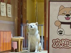 -大江户·温泉洗浴(浑南店)