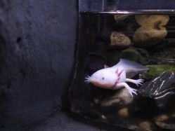 -Zoolung Zoolung动物主题公园(海信广场店)