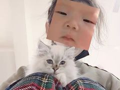 -喵zoo家庭繁育猫舍(尖东智能花园店)
