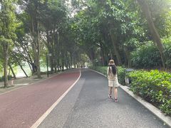 -南宁南湖公园