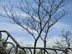 -幕燕滨江·燕子矶公园