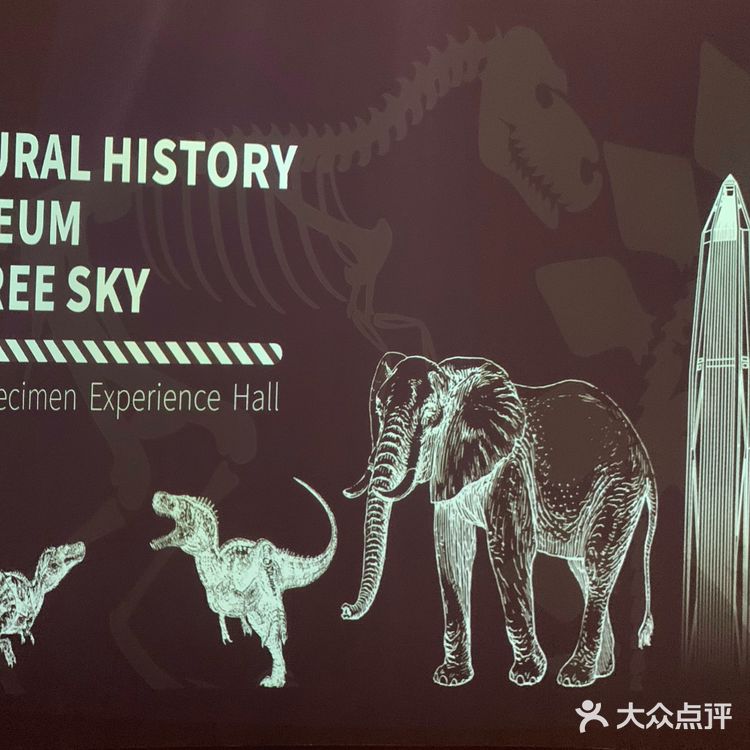 深圳观光篇 | 隐藏在深圳最高处541米最美攻略