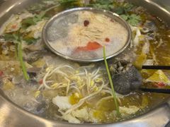 -黑河坝泡姜鸡贡椒鱼(贾旗路店)