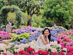 -上海鲜花港