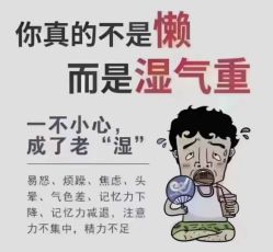 -Dr.林醫生产后修复·超级店(南京江宁同曦店)