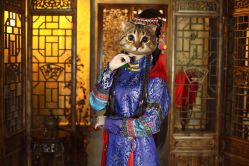 -美云庭古装·格格服汉服·京城旅拍(北京店)