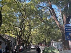 -北京国子监胡同