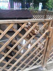 -萌宠亲子动物乐园(槐房万达店)