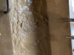 -100蛋泥浆浴