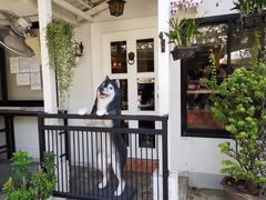 -TrueLove @ Neverland (Husky Cafe)